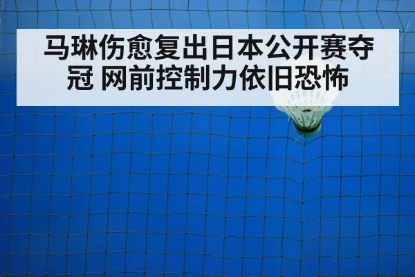 badminton net play