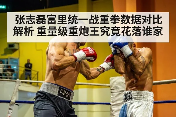 张志磊富里统一战重拳数据对比解析 重量级重炮王究竟花落谁家 - nine game